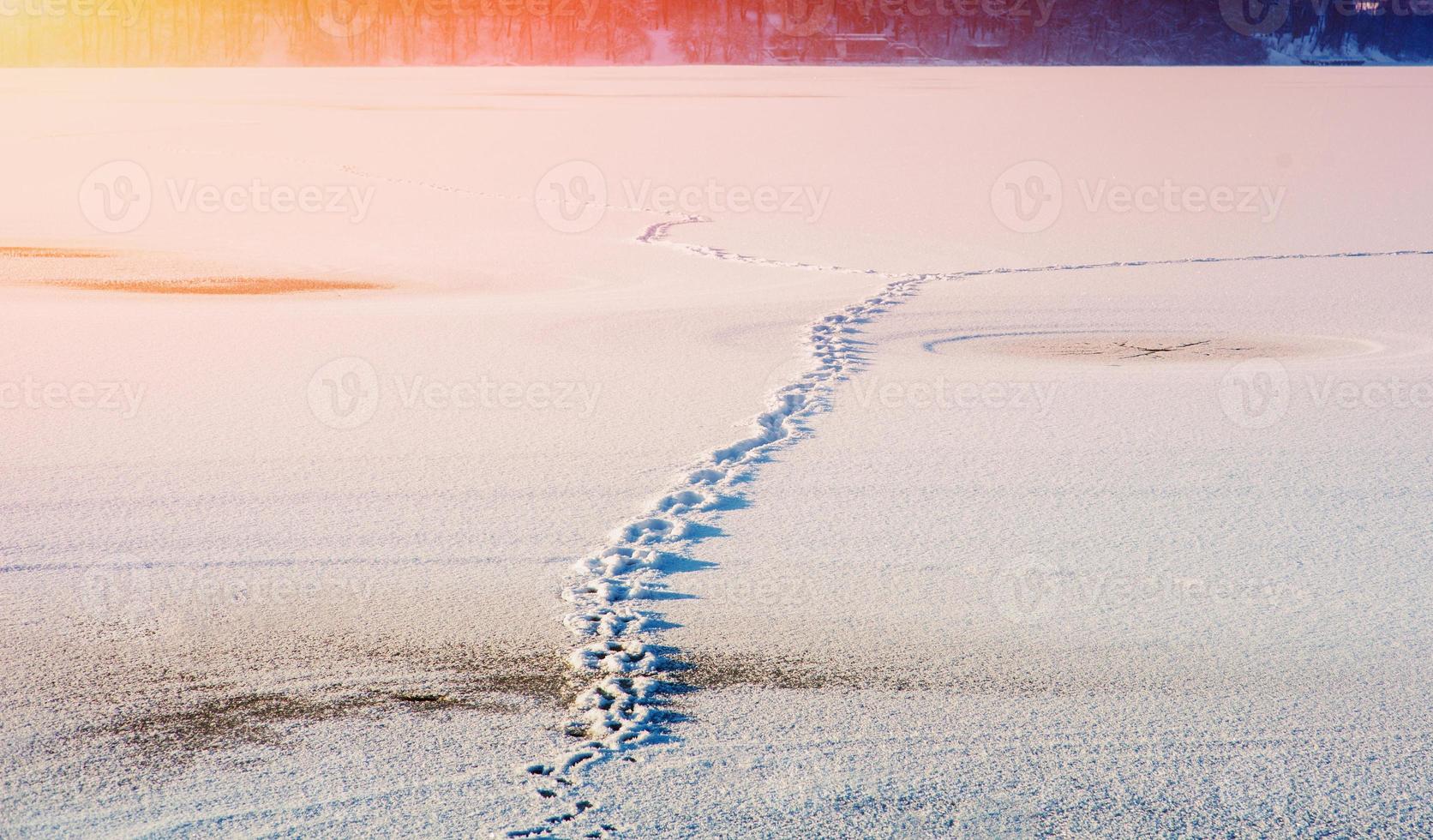 des pas sur la neige photo