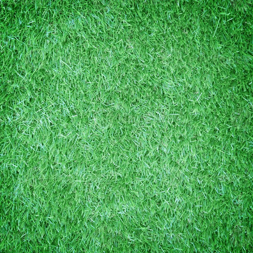 texture d'herbe verte artificielle pour le fond photo