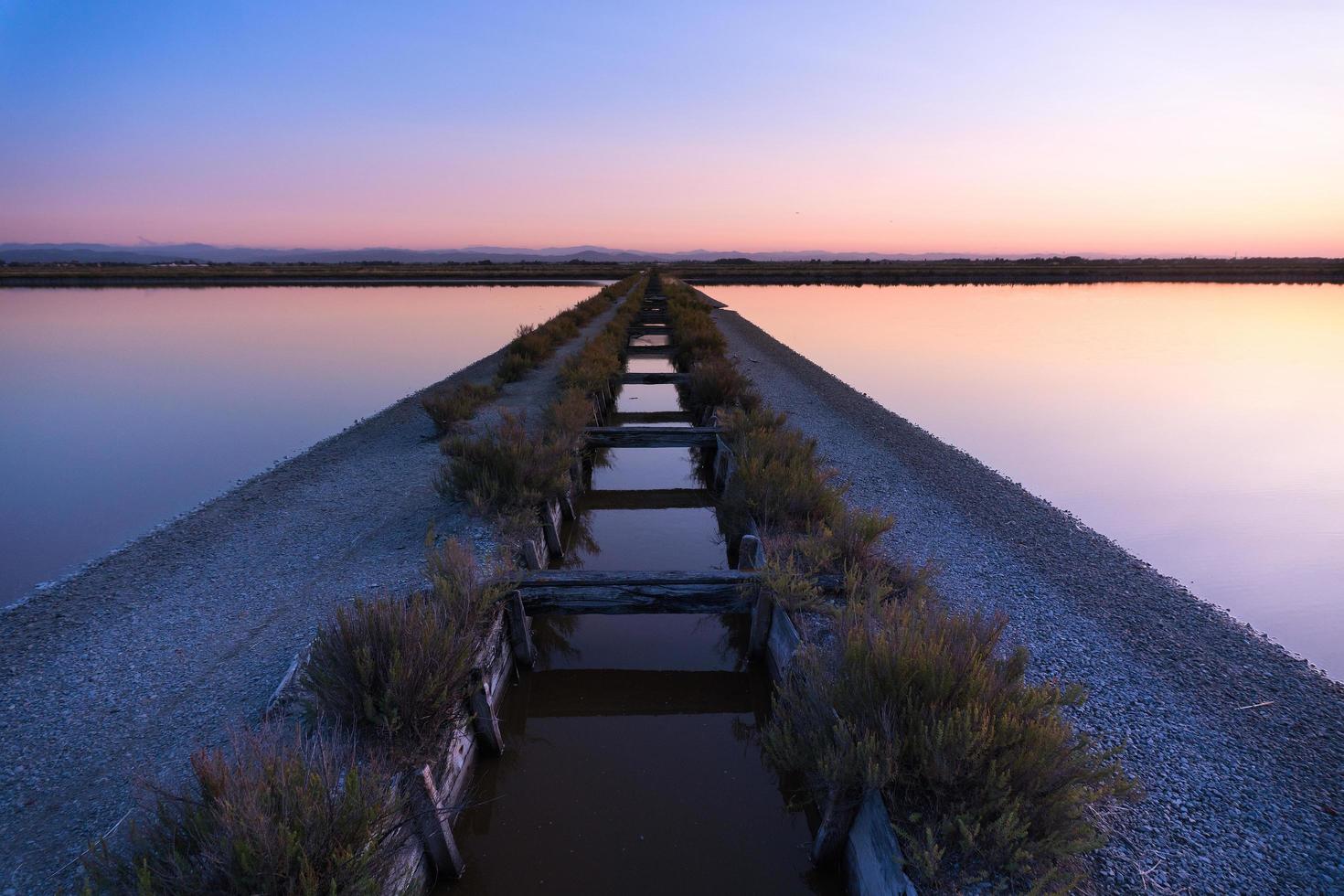 salines de cervia photo