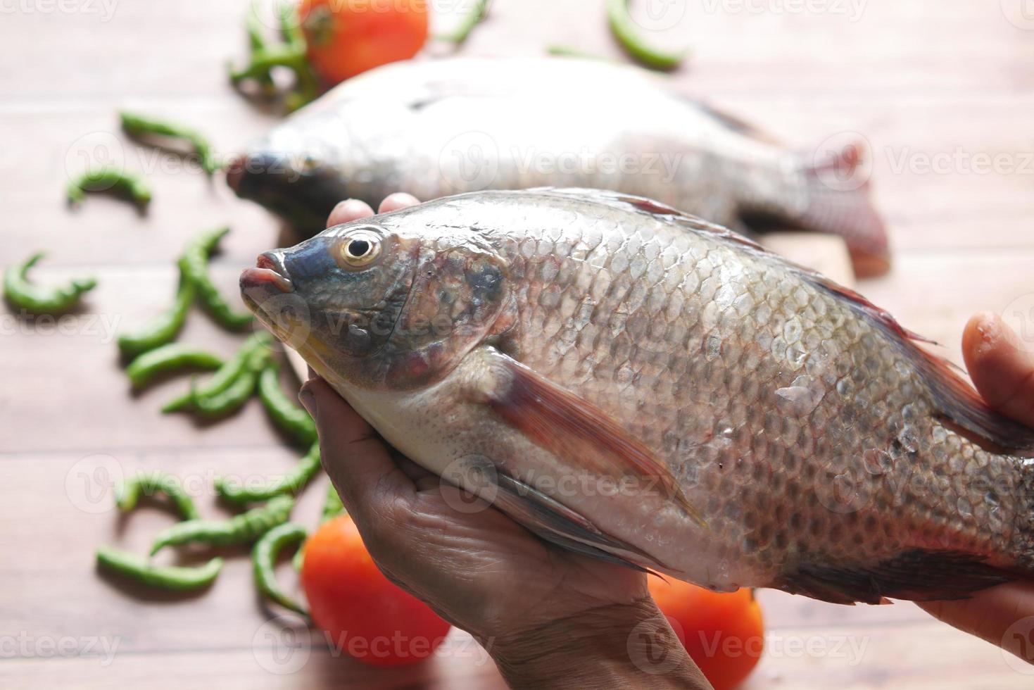 vue de dessus du poisson frais cru à portée de main photo