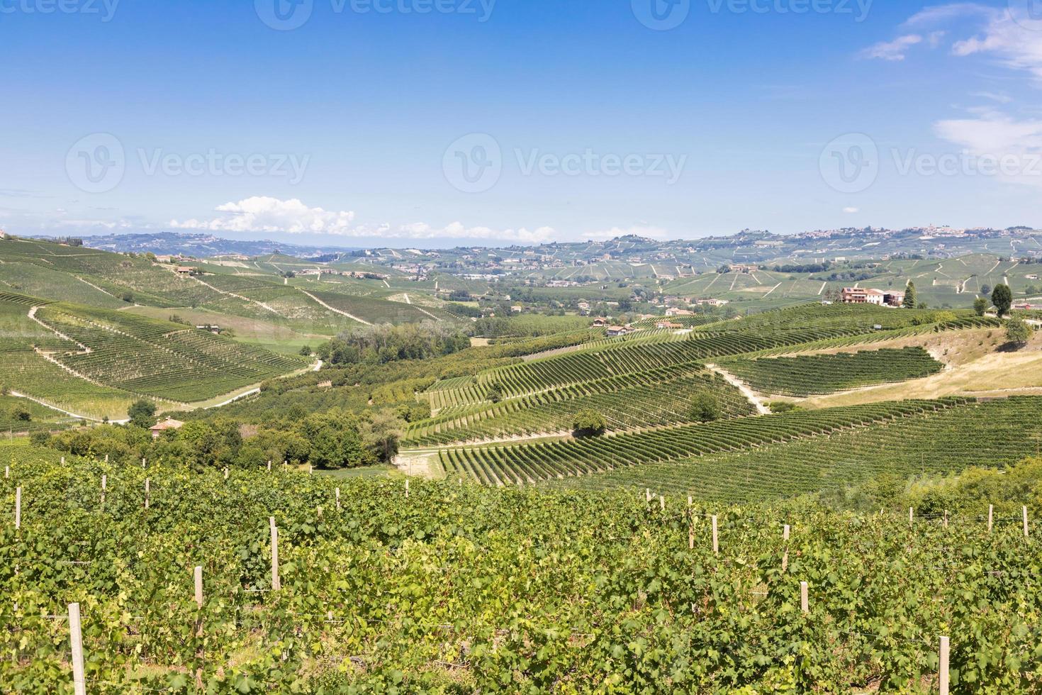 campagne panoramique dans la région du piémont, italie. colline de vignoble pittoresque près de la ville de barolo. photo