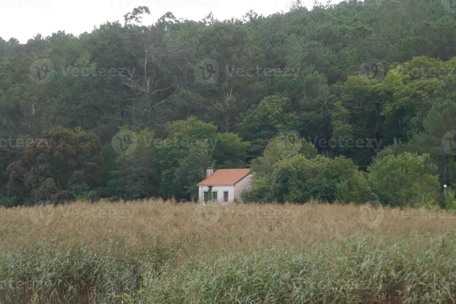 petite maison blanche parmi la végétation verte photo