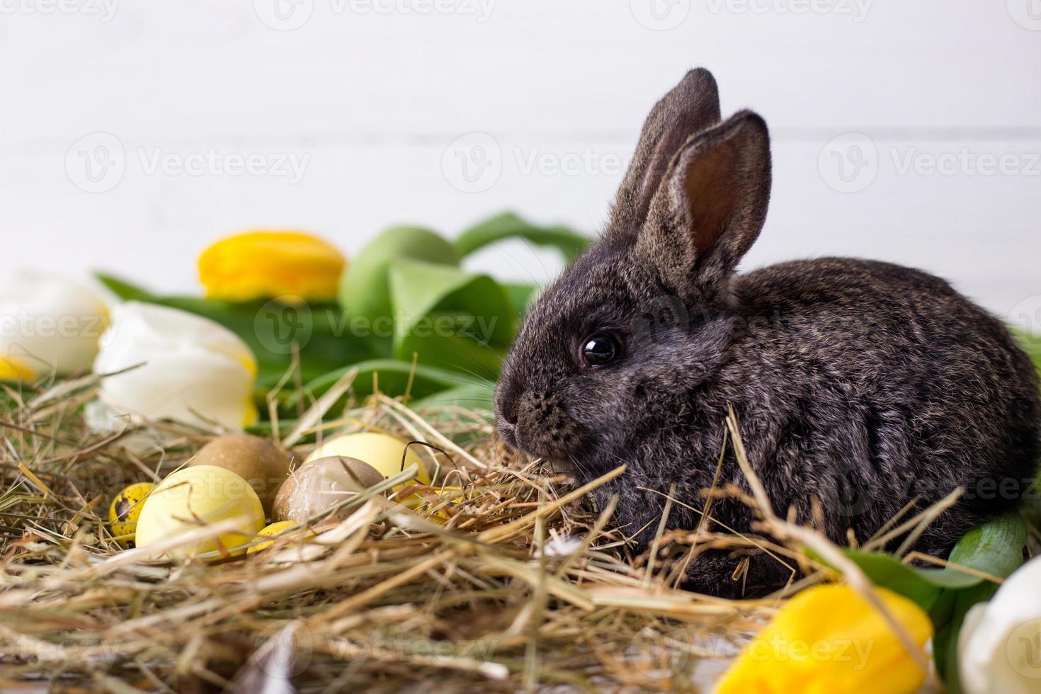 lapin de pâques avec des oeufs de pâques avec des tulipes et un nid de foin. composition de pâques printanière positive. photo