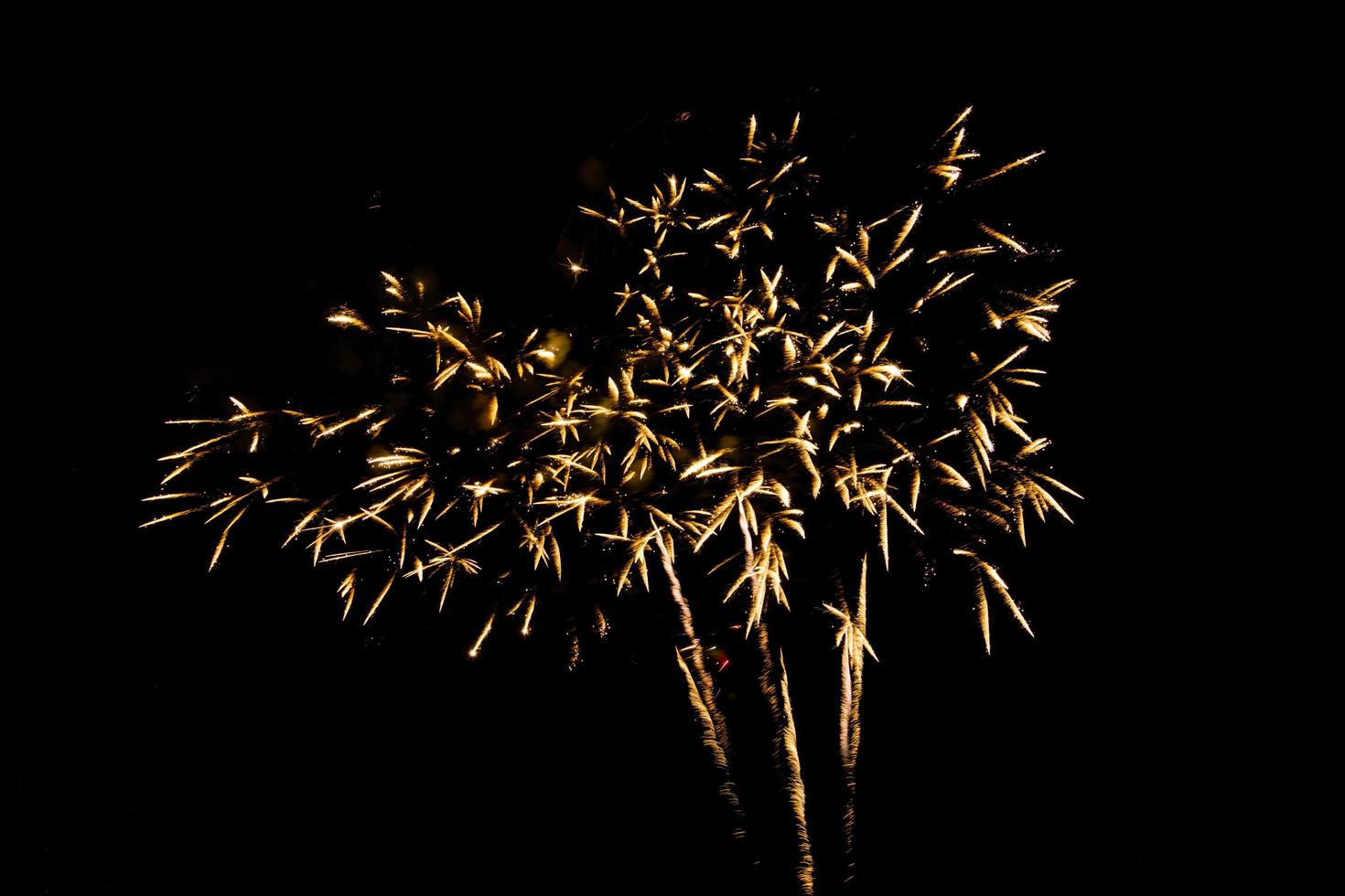 feux d'artifice colorés contre un ciel nocturne noir. feux d'artifice pour le nouvel an. beau feu d'artifice coloré sur le lac urbain pour la célébration sur fond de nuit noire. photo