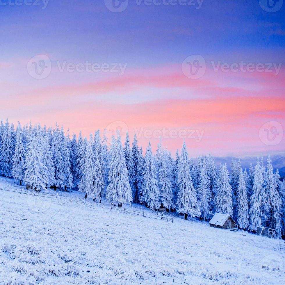 cabane dans les montagnes en hiver photo