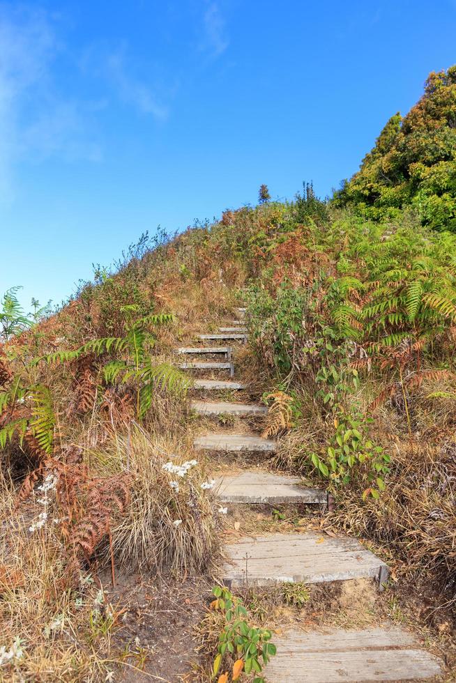 Chemin d'escalier de randonnée en haute montagne photo