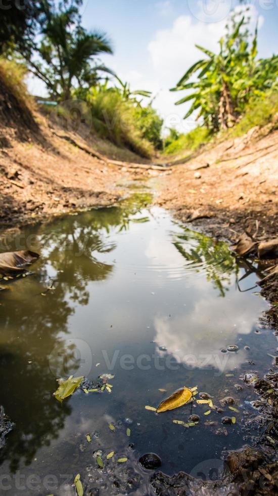 canal avec un faible niveau d'eau à cause de la sécheresse photo