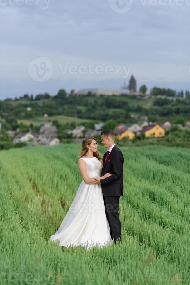 mariés dans un champ de blé. le couple s'embrasse au coucher du soleil photo