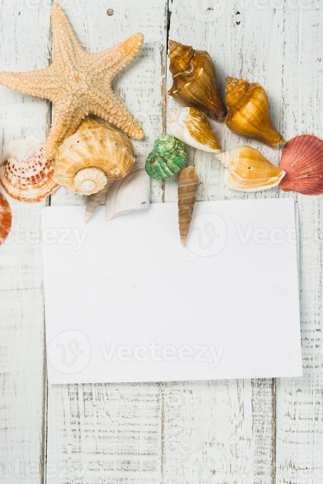 coquillages de mer sur fond de bois blanc photo