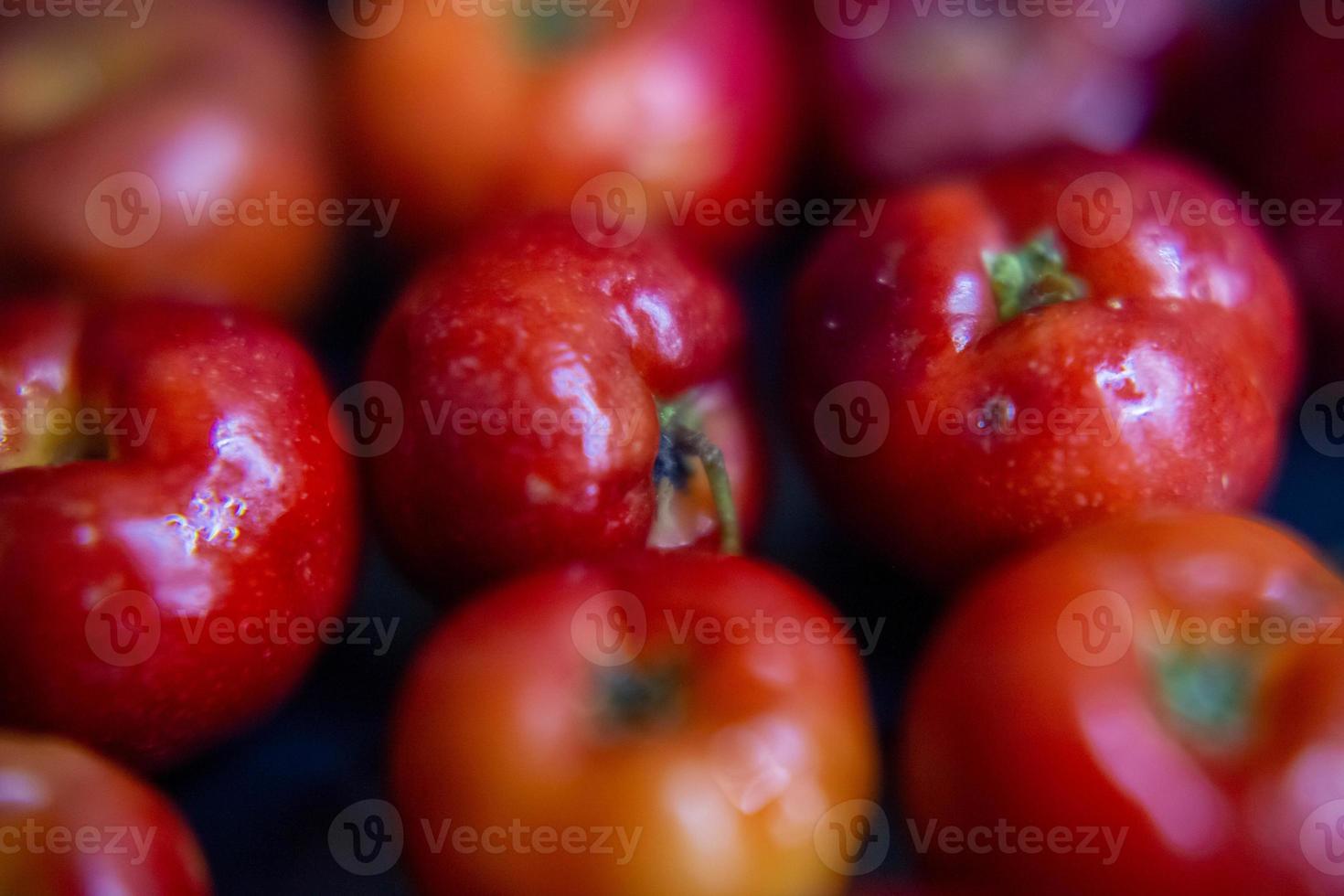 tomate acérola photo