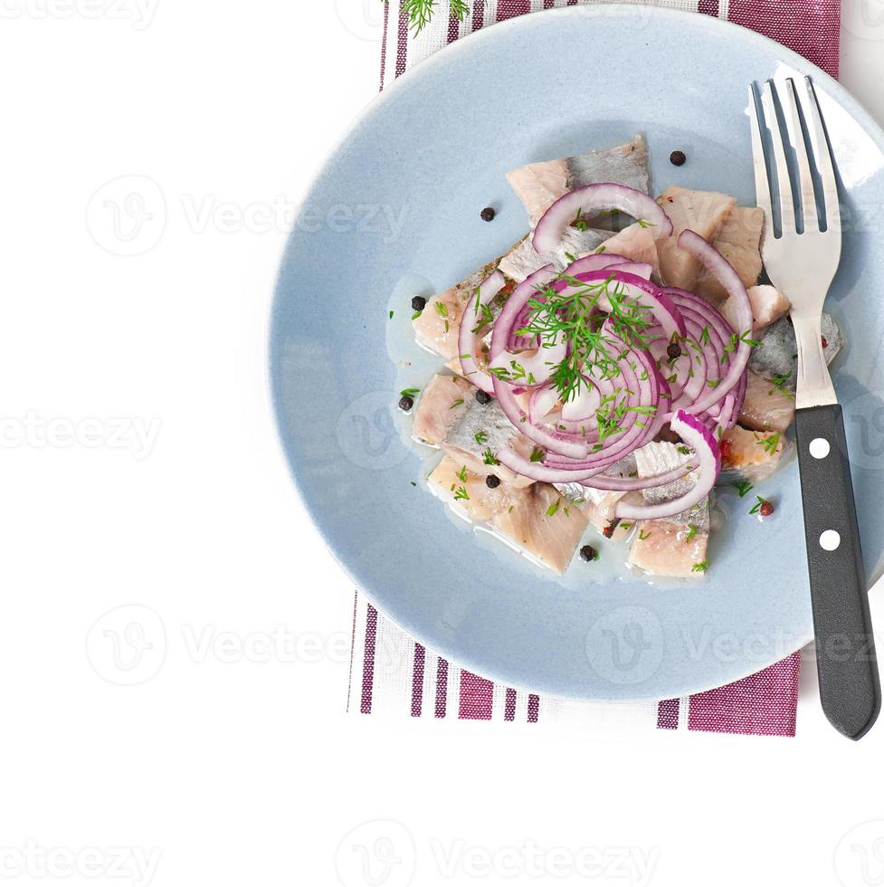 salade de hareng à l'oignon photo