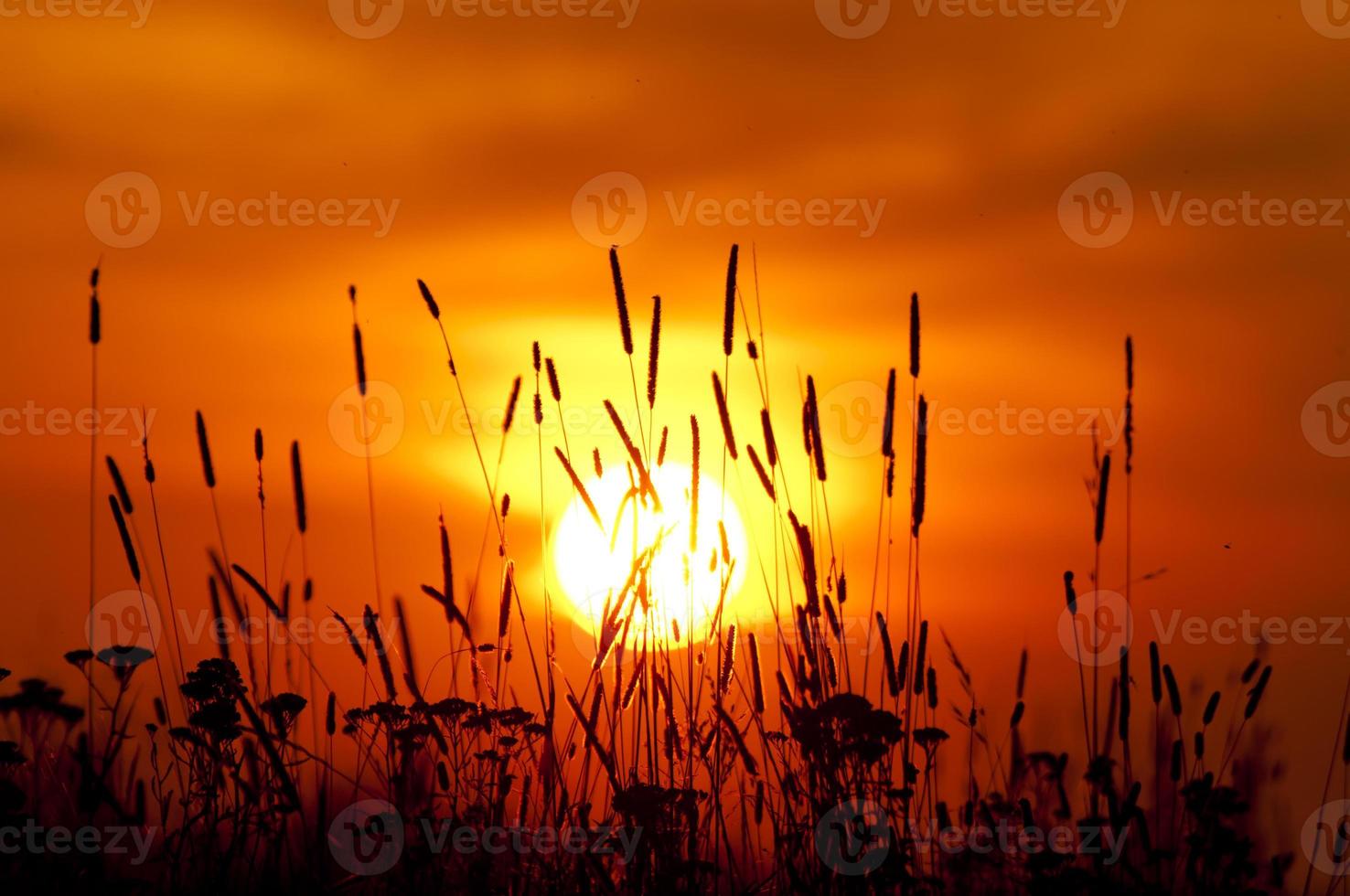coucher de soleil orange photo