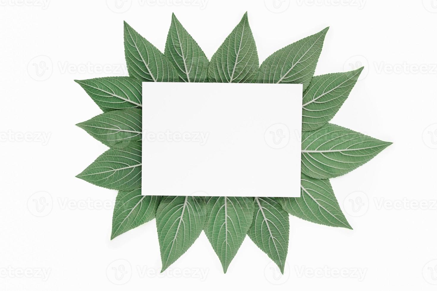 motif de feuille verte créative avec du papier blanc photo