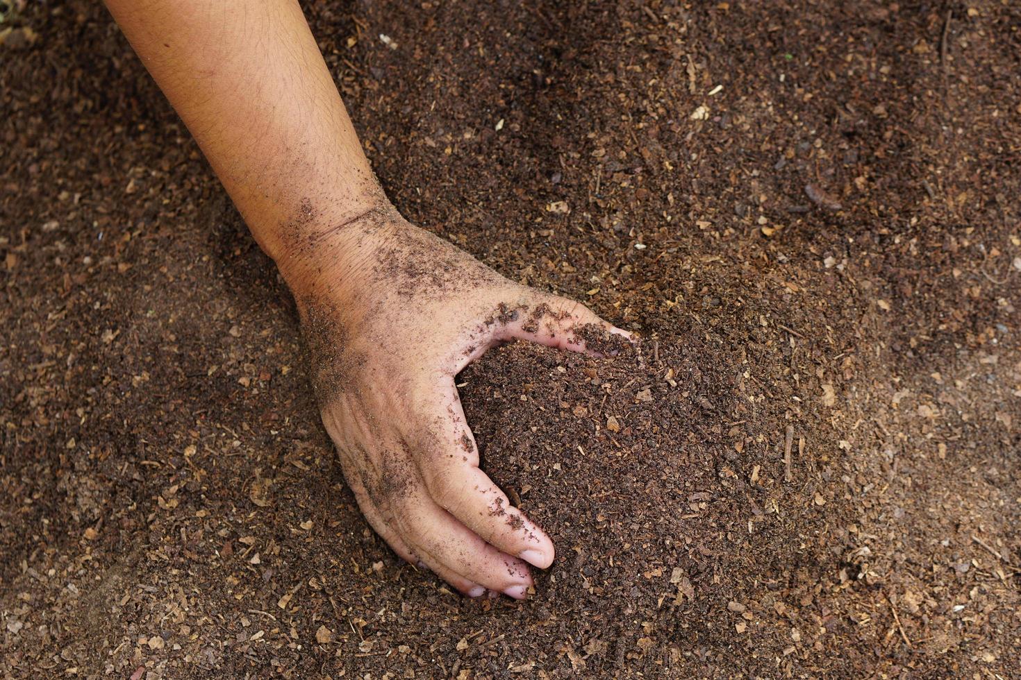 les agriculteurs mélangent le sol pour faire pousser des cultures. fournir les minéraux dont les plantes ont besoin, il pousse vite et fort. photo