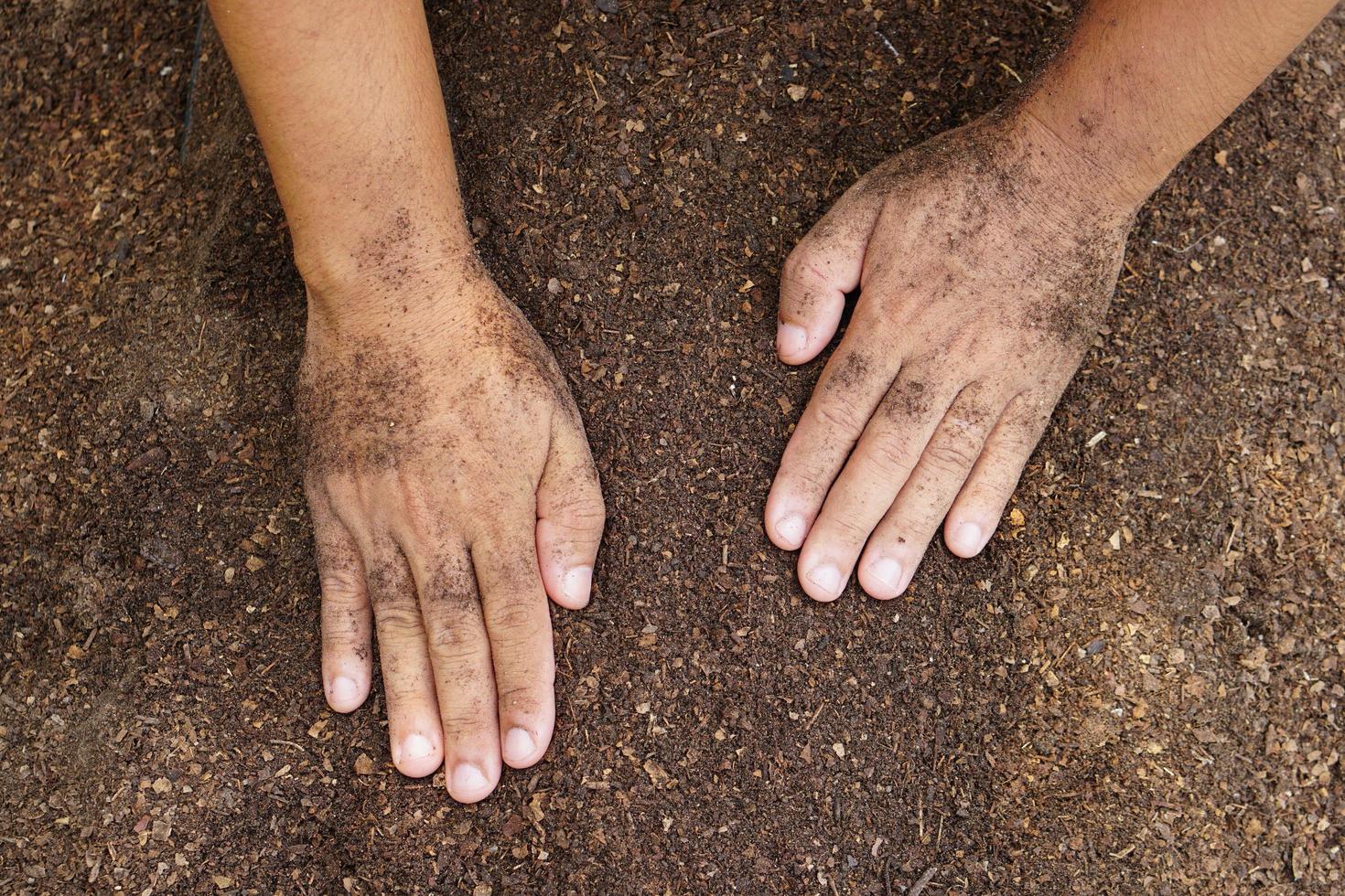 les agriculteurs mélangent le sol pour faire pousser des cultures. fournir les minéraux dont les plantes ont besoin, il pousse vite et fort. photo