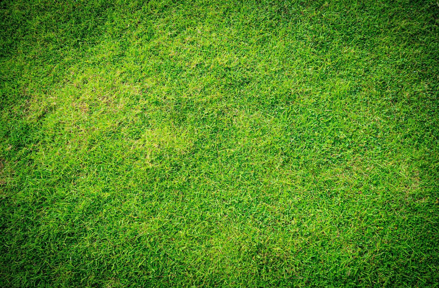 vue de dessus de l'herbe verte fraîche ou de la pelouse pour les terrains de football et de football ou les terrains de golf ou les prairies. à utiliser pour faire du jardin ou du gazon en arrière-plan ou en papier peint. le champ frais pour un sol. photo