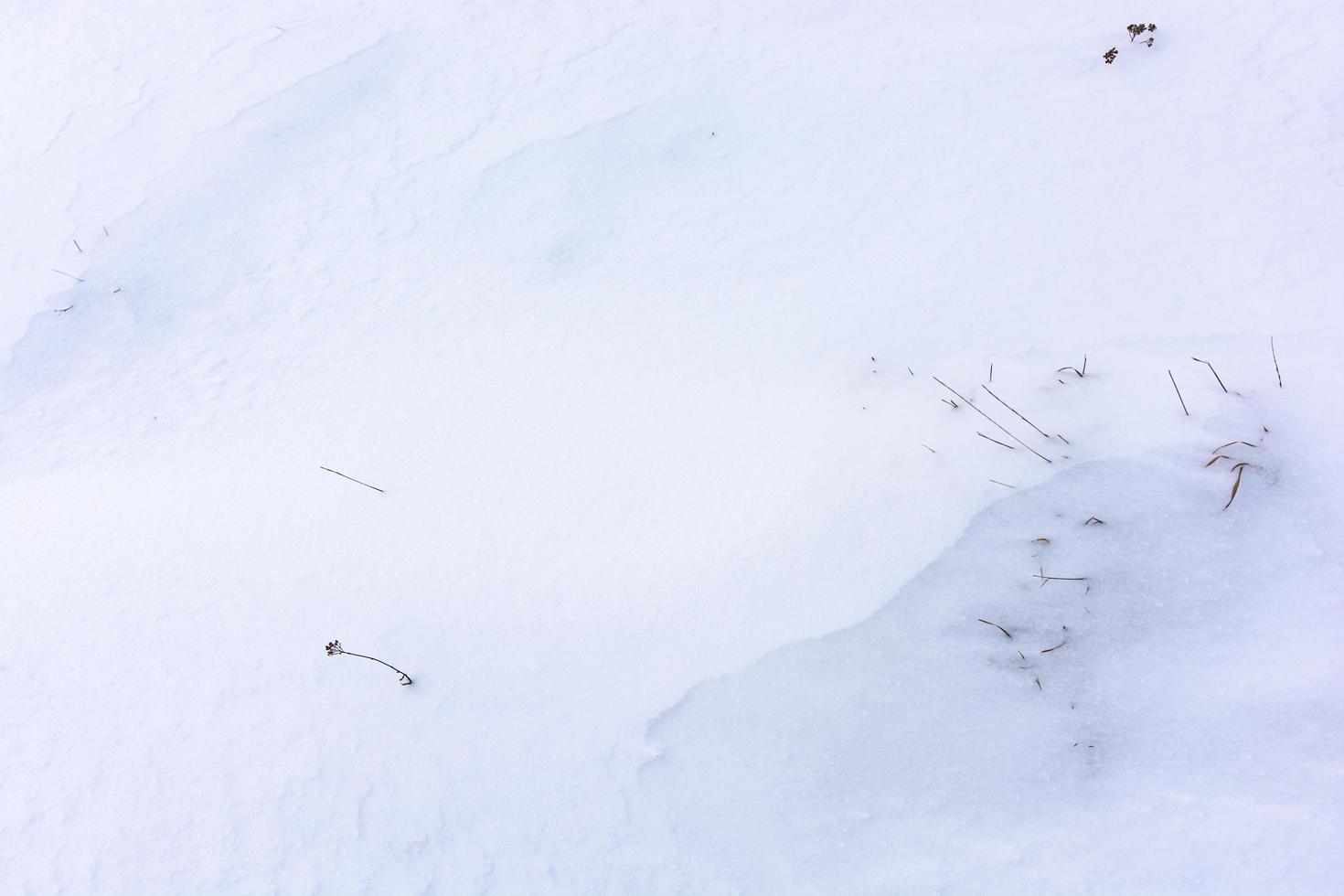 fond blanc enneigé inégal avec de l'herbe sèche montrant par endroits. photo