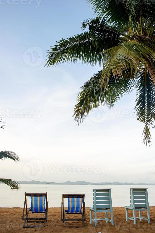 cocotiers et mer, beau paysage naturel photo