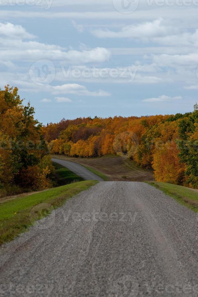 route de campagne dans les prairies canadiennes à l'automne. photo