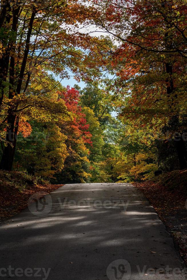 Road in Coopers Rock State Park en Virginie occidentale avec des couleurs d'automne photo