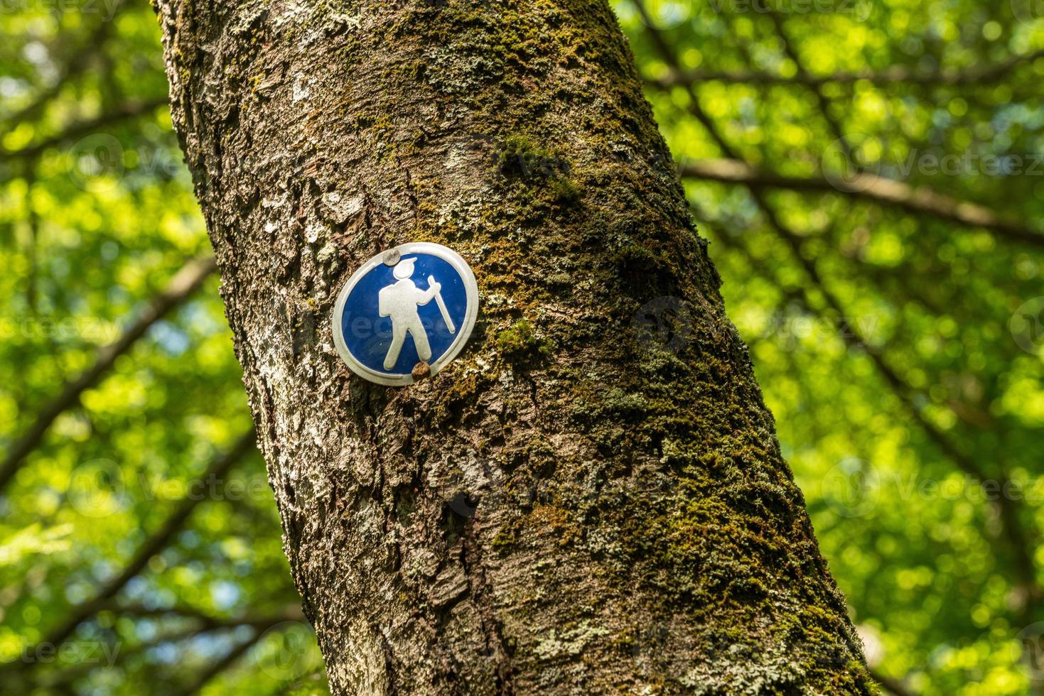 Panneau de direction du sentier de randonnée bleu cloué au tronc de l'arbre photo