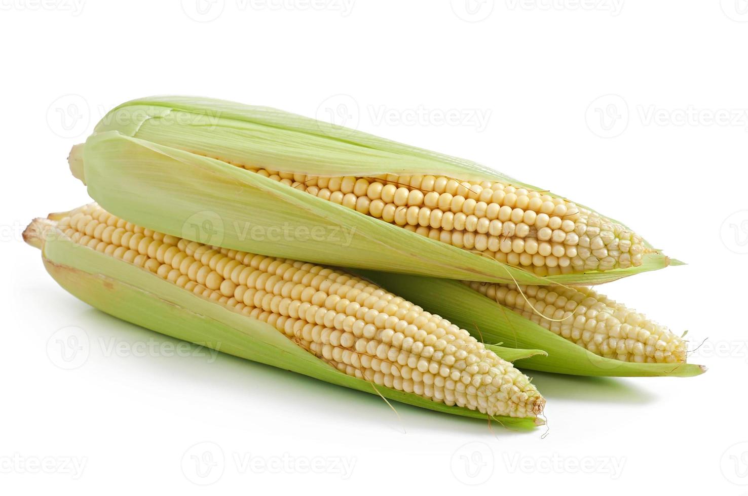 un épi de maïs isolé sur fond blanc photo