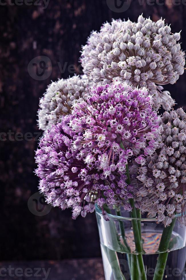 Oignon fleurs sur fond de bois ancien photo