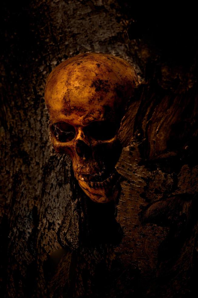 la nature morte du crâne humain qui est mort pendant longtemps a été enterrée dans le sol photo