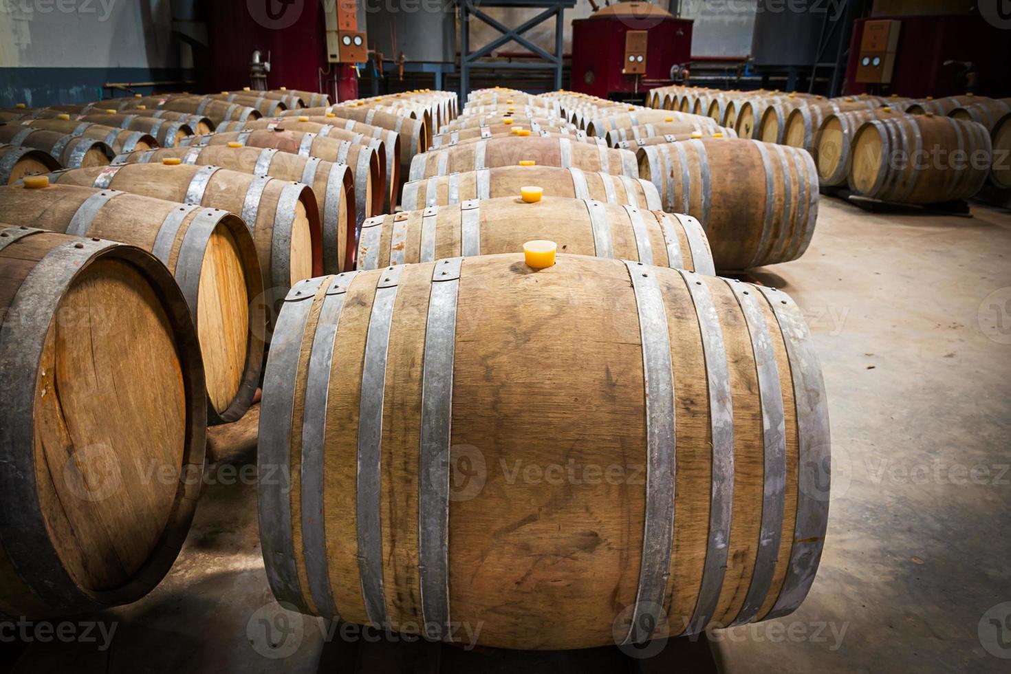 tonneaux de vin dans la cave de la cave photo