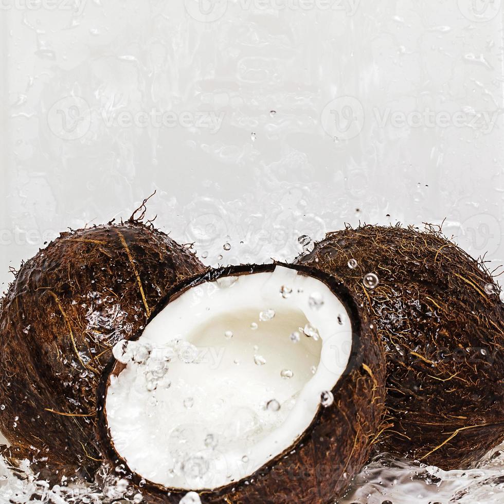 noix de coco et éclaboussures d'eau photo