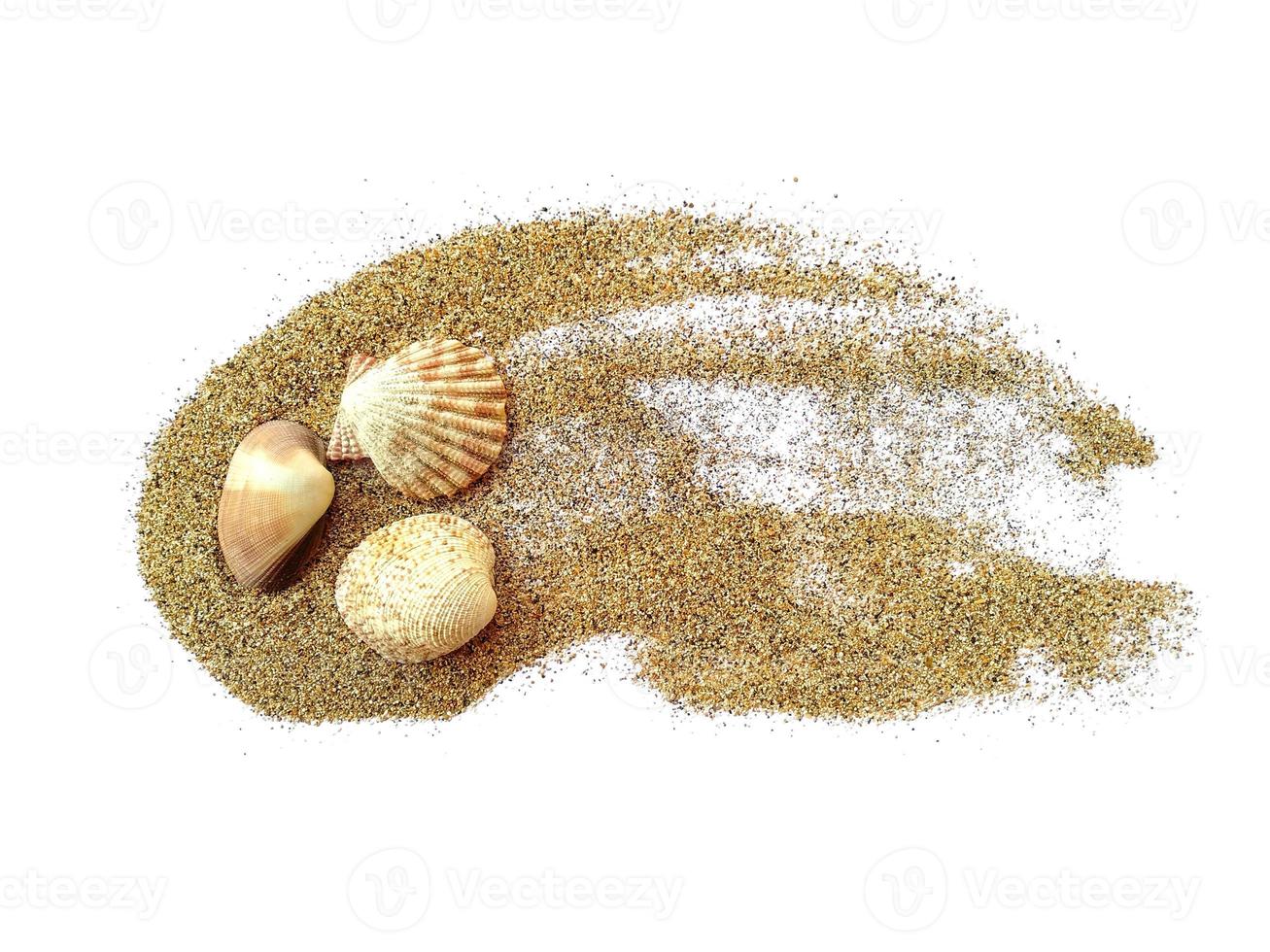 Coquillages en tas de sable isolé sur fond blanc photo