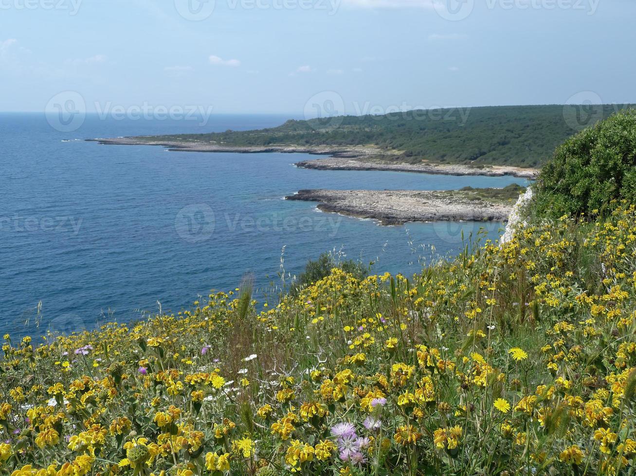 vue sur la côte de la mer photo