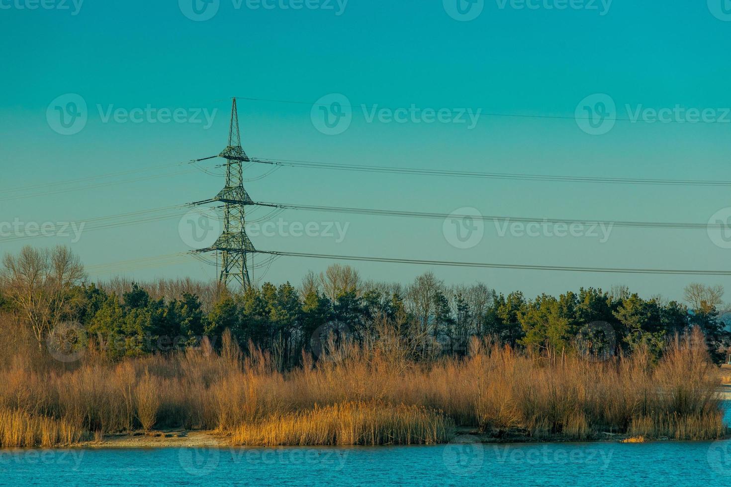 réseau électrique atteignant la forêt au bord du lac bleu photo