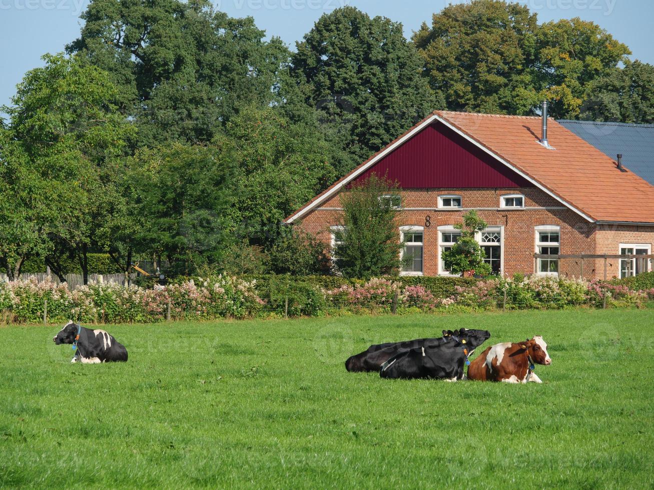 Bredevoort aux Pays-Bas photo