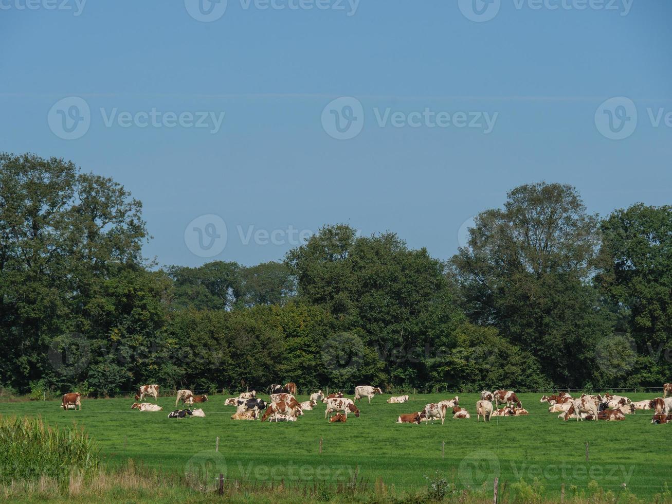 Bredevoort aux Pays-Bas photo