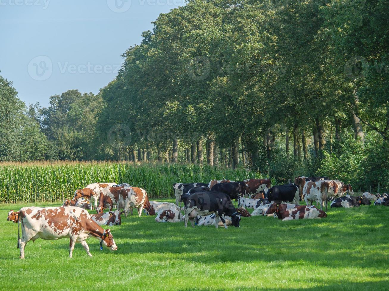 Bredevoort aux Pays-Bas photo