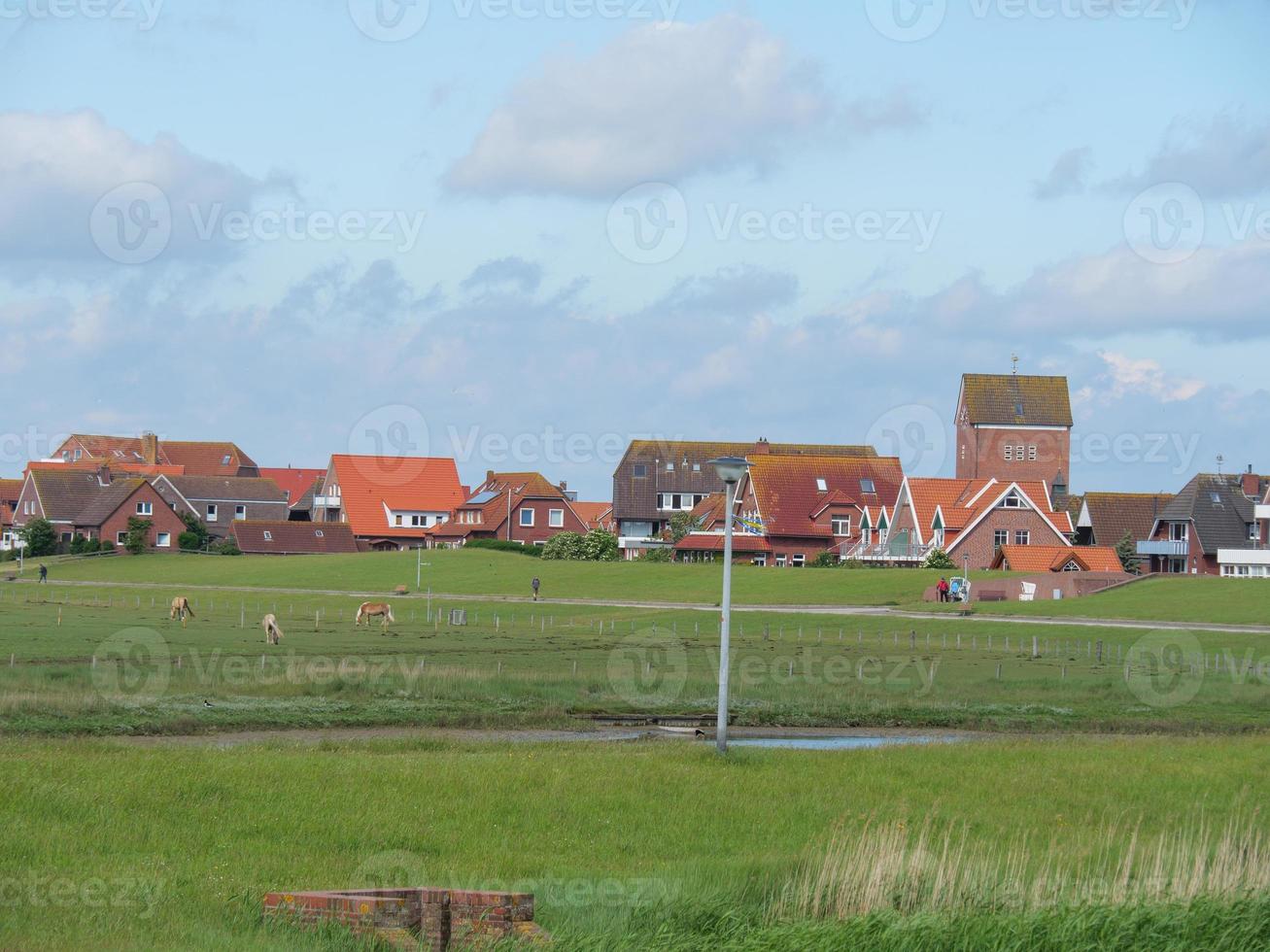 île de baltrum en allemagne photo