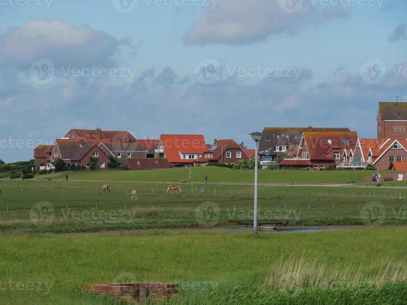 île de baltrum en allemagne photo