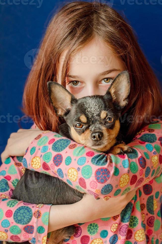 fille avec son chien de race chihuahua. enfant et animal de compagnie. photo