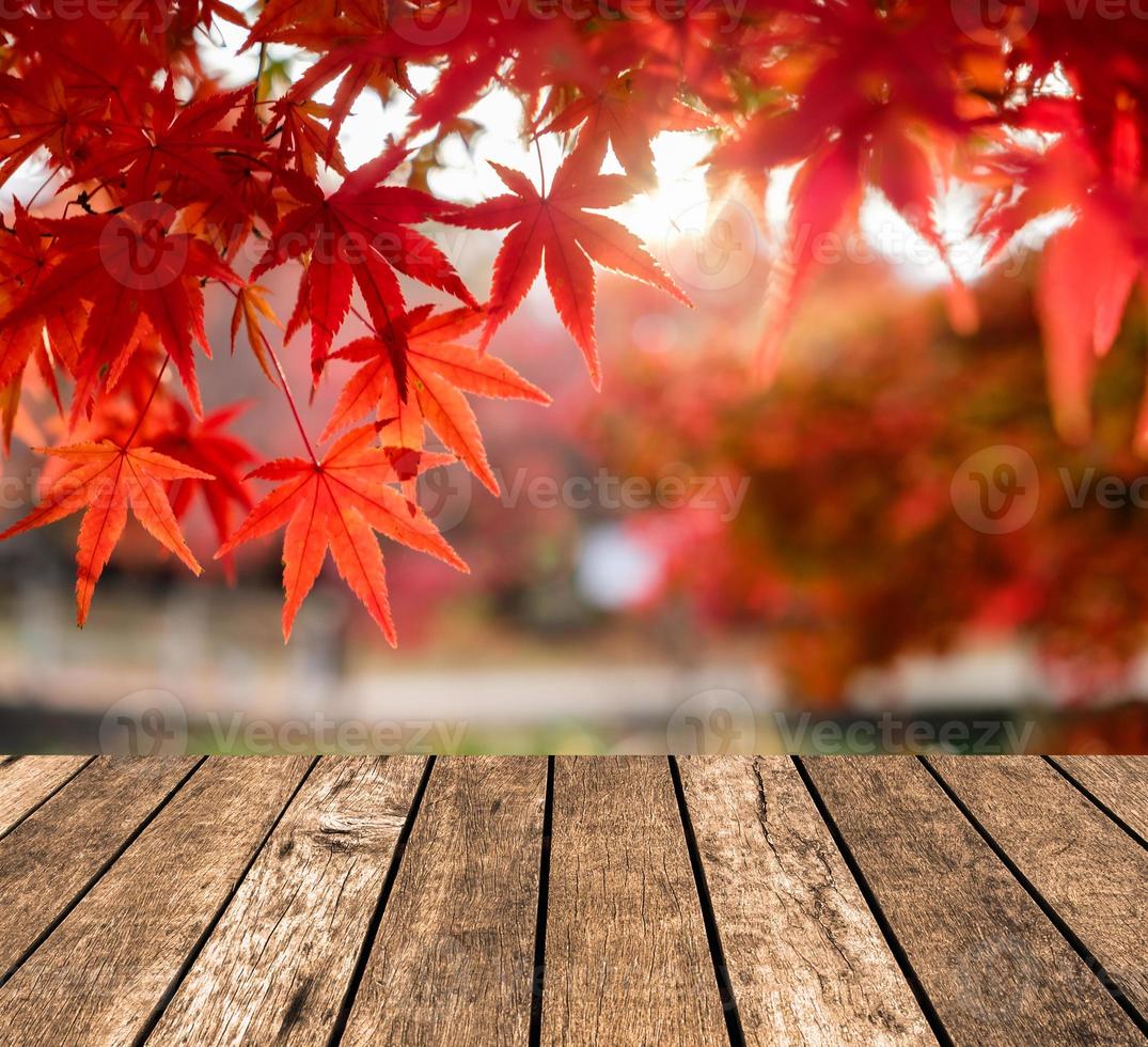 dessus de table en bois sur des feuilles d'érable rouges floues dans le jardin du couloir photo