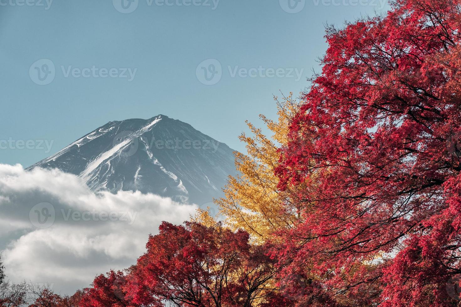 mont fuji avec jardin d'érables en automne photo