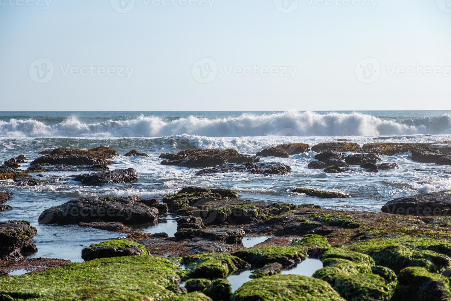 vague se brisant sur la pierre d'algues photo