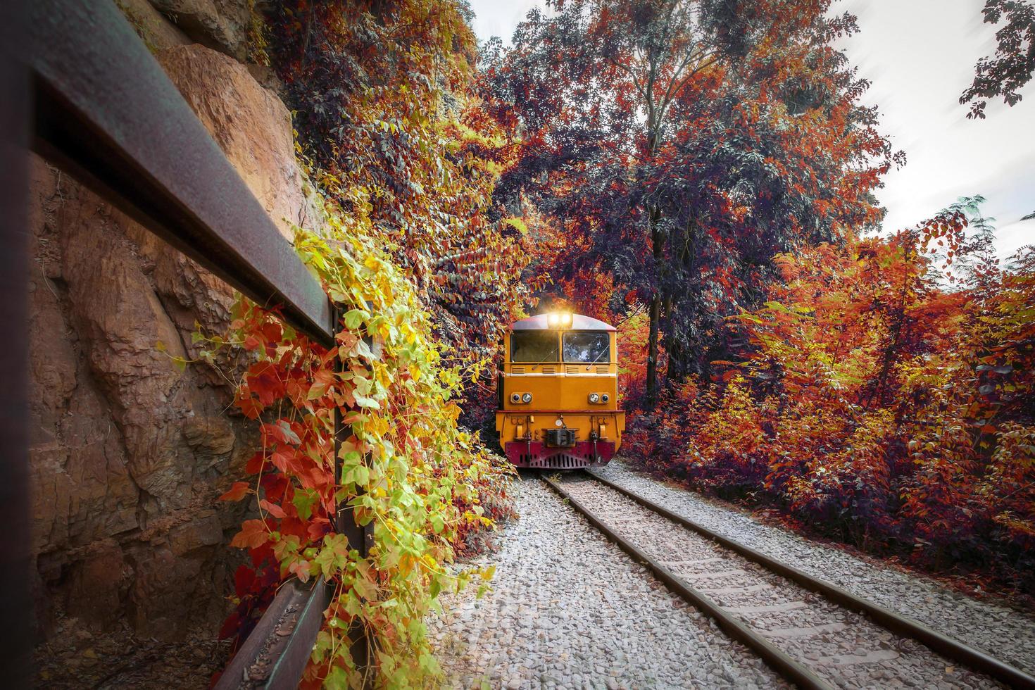 train de procession locomotives diesel-électriques se déplaçant sur la montagne à la courbe et naviguant à travers l'hélicoptère ferroviaire avec une belle vue sur la forêt d'automne photo