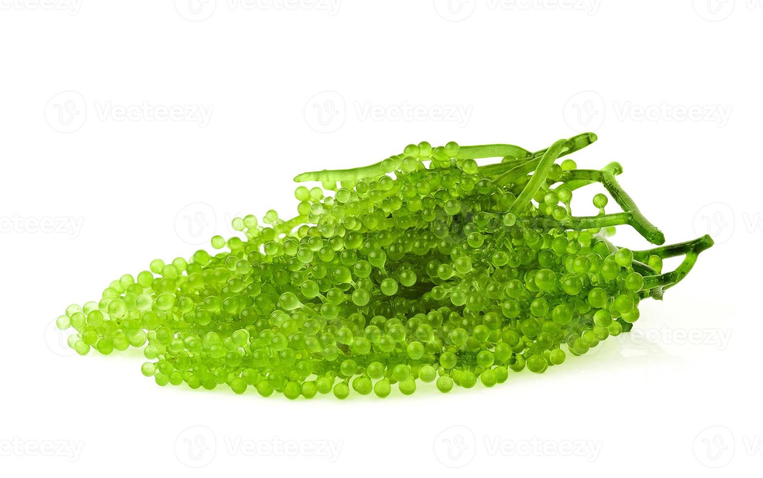umi-budou, raisins algues ou caviar vert isolé sur fond blanc photo