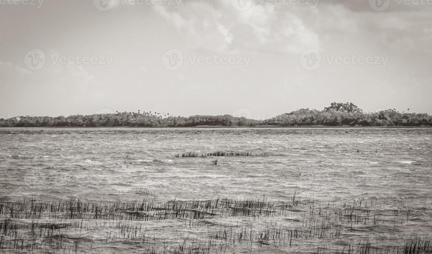 muyil lagon panorama vue paysage nature eau turquoise mexique. photo