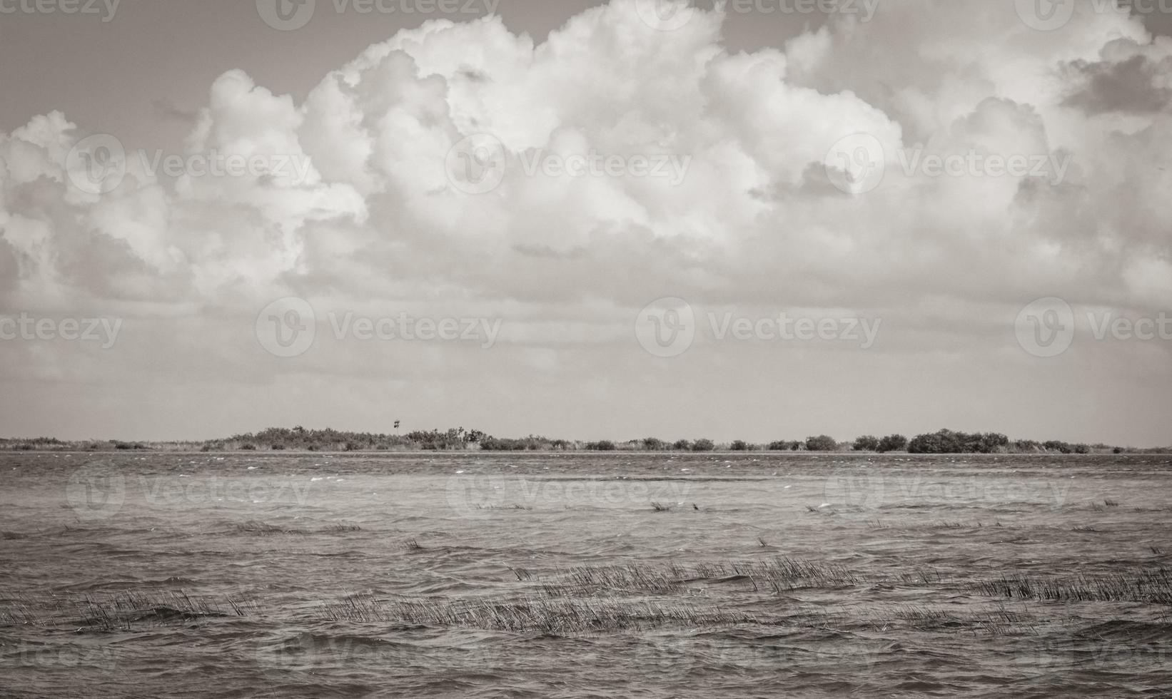 muyil lagon panorama vue paysage nature eau turquoise mexique. photo