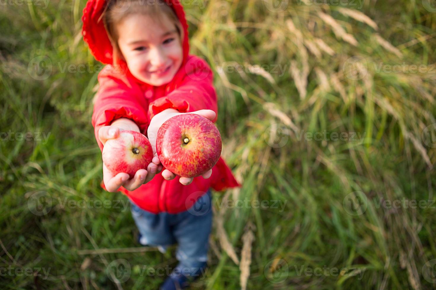une petite fille dans une veste rouge avec une capuche tient des pommes dans ses mains. fête des récoltes d'automne, action de grâces, verger, vitamines. espace pour le texte photo