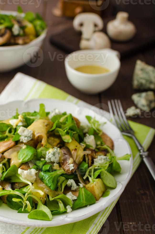 salade fraîche aux légumes et fromage bleu photo