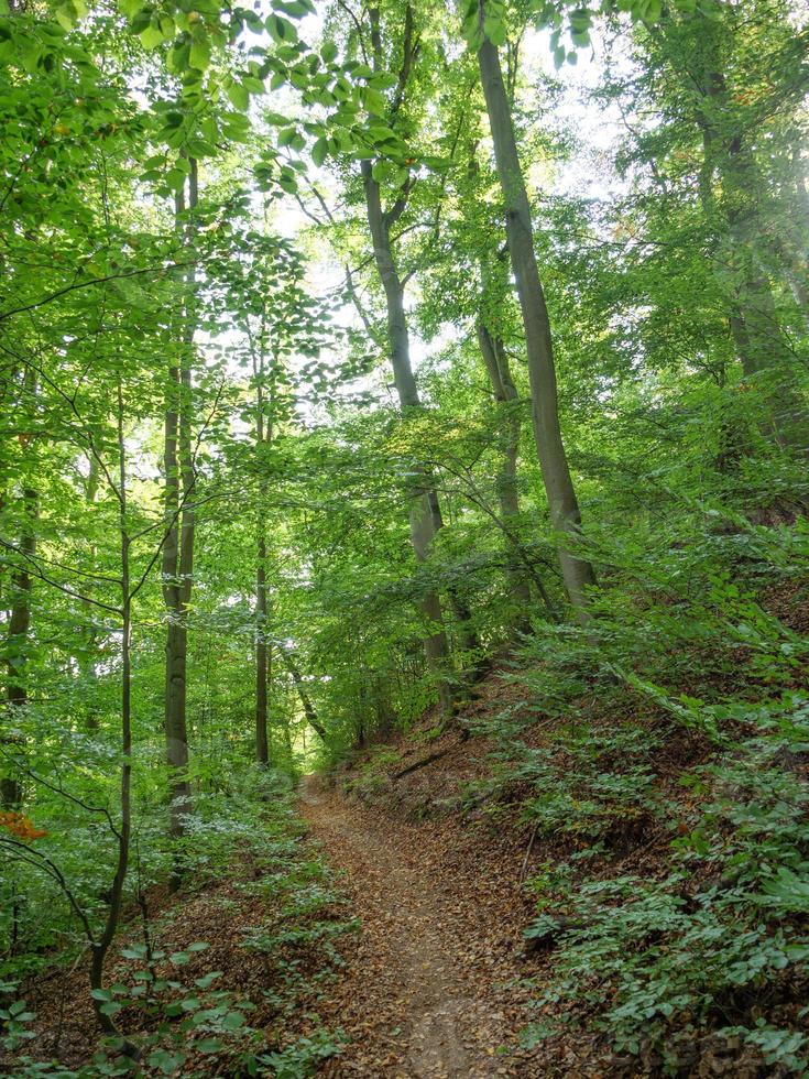 la petite ville de waldeck en hesse photo