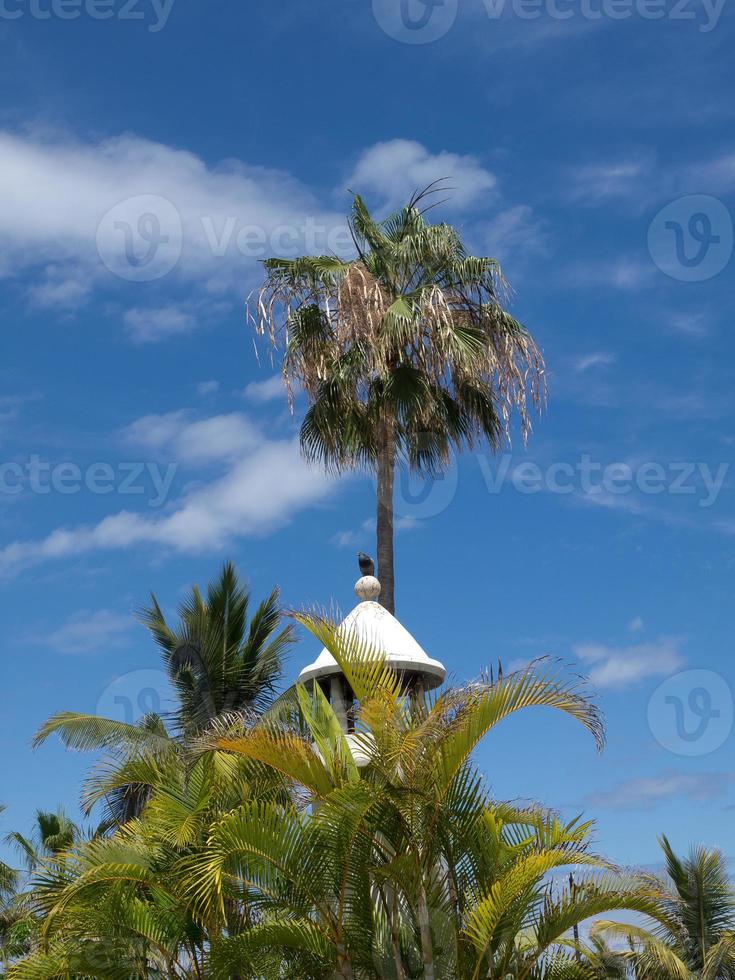 île de tenerife en espagne photo